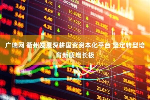 广瑞网 衢州发展深耕国资资本化平台 坚定转型培育新质增长极