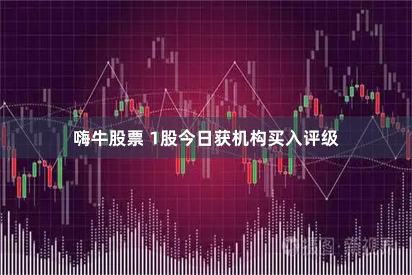嗨牛股票 1股今日获机构买入评级