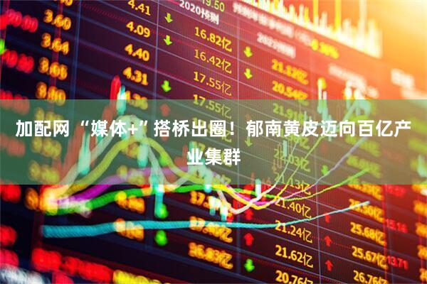 加配网 “媒体+”搭桥出圈！郁南黄皮迈向百亿产业集群