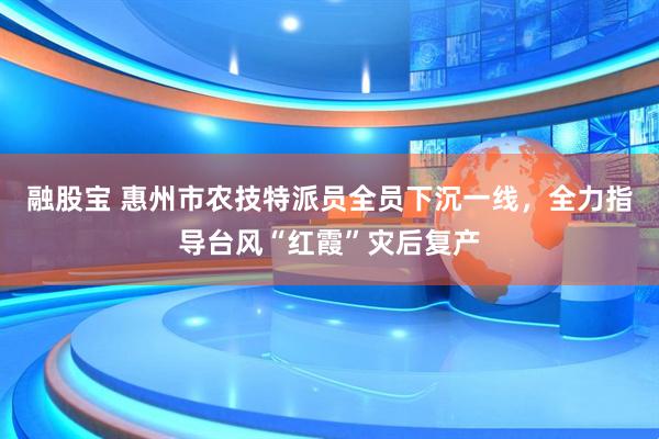 融股宝 惠州市农技特派员全员下沉一线，全力指导台风“红霞”灾后复产
